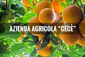 Cece-AzAgricola